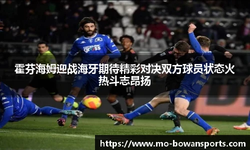 博万体育官网